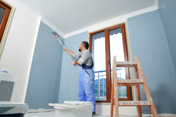 Best Eco-Friendly and Low-VOC Painting  in Plain City, UT