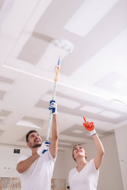 Best Ceiling Drywall Installation  in Plain City, UT